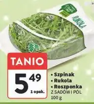 Intermarche Szpinak młody Z Sadów I Pól oferta