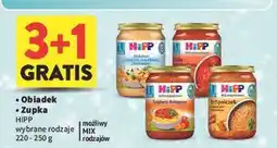 Intermarche Krupniczek z warzywami Hipp oferta