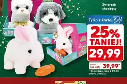 Kaufland Zwierzak chodzący oferta