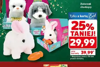 Kaufland Zwierzak chodzący oferta