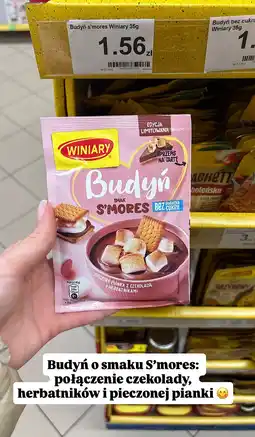 Dino Budyń smak S'mores Winiary 35g oferta
