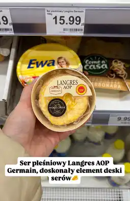 Dino Ser pleśniowy Langres AOP Germain oferta