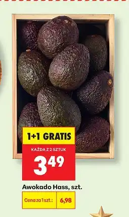 Biedronka Awokado Hass Biedronka oferta