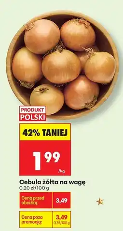 Biedronka Cebula żółta na wagę Biedronka oferta