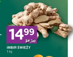 Stokrotka Imbir świeży Stokrotka oferta