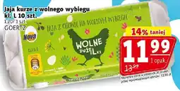 Prim Market Jaja kurze z wolnego wybiegu kl. L 10 szt. Goertz oferta