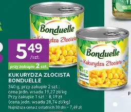 Stokrotka Kukurydza złocista Bonduelle oferta