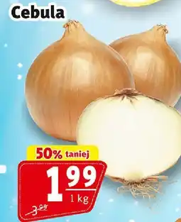 Prim Market Cebula Prim Market oferta