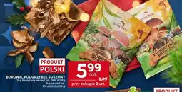 Stokrotka Borowik, podgrzybek suszony Stokrotka oferta