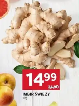 Stokrotka Imbir świeży Stokrotka oferta
