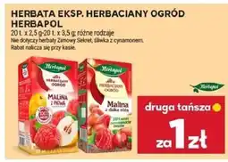Stokrotka Herbata ekspresowa Herbaciany Ogród Herbapol Malina, Herbata zimowa, Herbata leśne owoce oferta