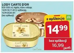Stokrotka Lody Carte Dor Algida różne rodzaje oferta