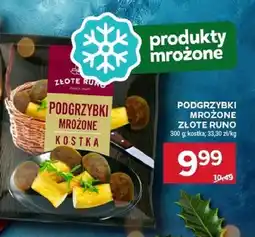 Stokrotka Podgrzybki mrożone Złote Runo kostka oferta
