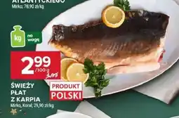 Stokrotka Świeży płat z karpia Mirko, Korall Stokrotka oferta