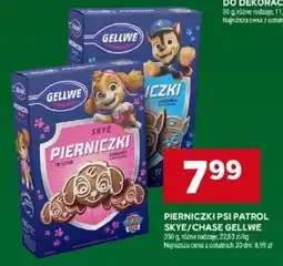 Stokrotka Pierniczki Psi Patrol Skye/Chase Gellwe oferta