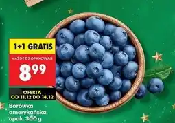 Biedronka Borówka amerykańska oferta