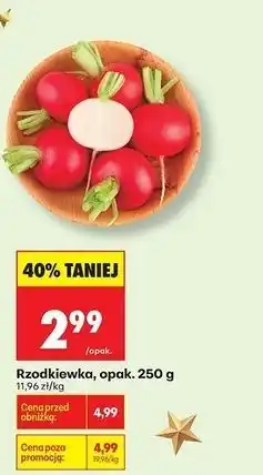 Biedronka Rzodkiewka, opak. 250g oferta