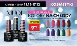 Biedronka Lakier hybrydowy Niuqi oferta