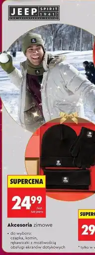 Biedronka Akcesoria ziomowe oferta