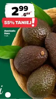 Netto Awokado oferta
