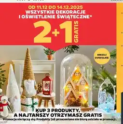 Netto Szopka led oferta