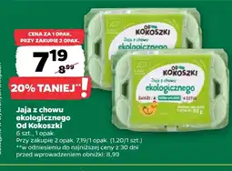 Netto Jaja Od Kokoszki oferta