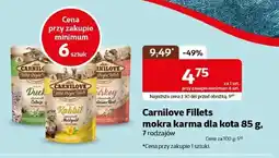Kakadu Mokra karma dla kota carnilove oferta