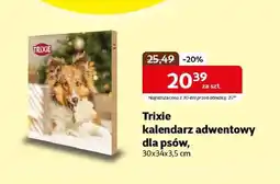 Kakadu Kalendarz adwentowy Trixie oferta