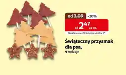 Kakadu Przysmak dla psa oferta