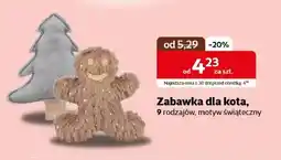 Kakadu Zabawka dla kota oferta