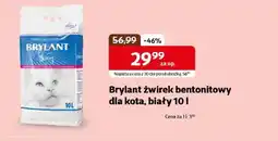 Kakadu Żwirek bentonitowy Brylant oferta