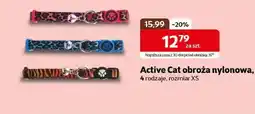 Kakadu Obroża Active Cat oferta