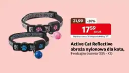 Kakadu Obroża dla kota Active Cat oferta