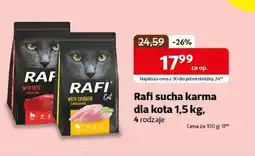 Kakadu Karma dla kota Rafi oferta
