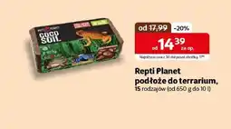 Kakadu Podłoże do terrarium Repti planet oferta