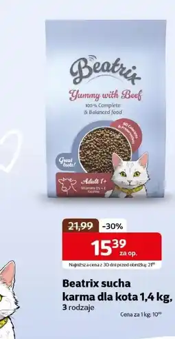 Kakadu Karma dla kota Beatrix oferta