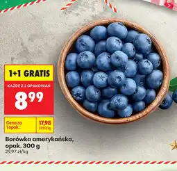 Biedronka Borówka amerykańska K! oferta