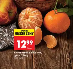 Biedronka Klementynka oferta