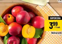 Polomarket Nektarynki oferta