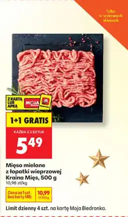 Biedronka Mięso mielone z łopatki wieprzowej Kraina Mięs, 500 g oferta