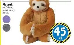 Tedi Pluszak Ok oferta