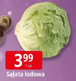 E.Leclerc Sałata lodowa Leclerc oferta