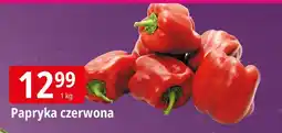 E.Leclerc Papryka czerwona Leclerc oferta