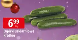 E.Leclerc Ogórki szklarniowe krótkie Leclerc oferta