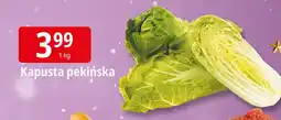 E.Leclerc Kapusta pekińska Leclerc oferta