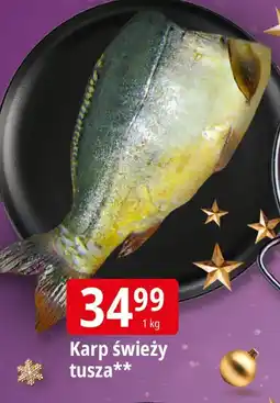 E.Leclerc Karp świeży tusza Leclerc oferta