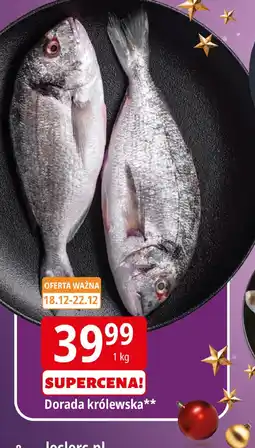 E.Leclerc Dorada królewska Leclerc oferta