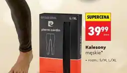 Biedronka Kalesony męskie oferta
