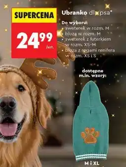 Biedronka Ubranko dla psa (do wyboru( oferta