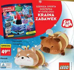 Biedronka Pluszak oferta